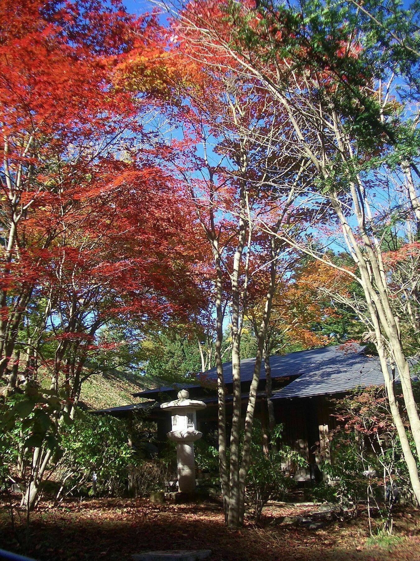 Shikitei Hotell Fujiyoshida Exteriör bild